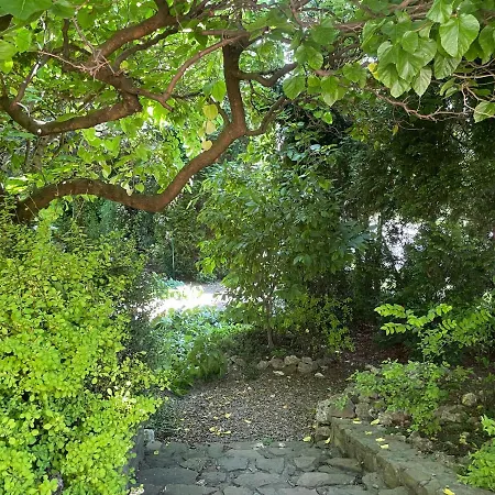 Uroczy Dom I Bezplatny Parking Mnikow