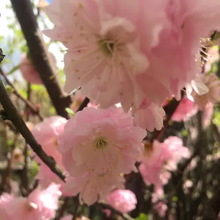 Uroczy Dom I Bezplatny Parking Mnikow