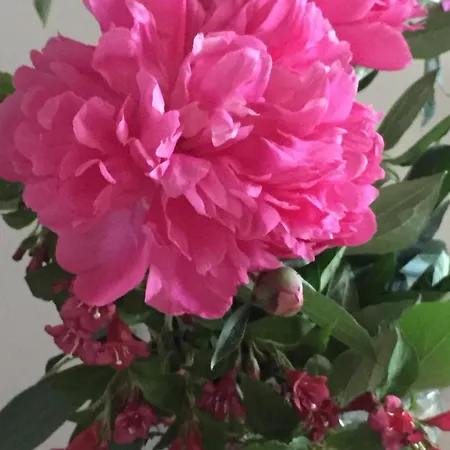 Βίλα Uroczy Dom I Bezplatny Parking