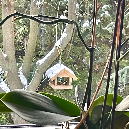 Uroczy Dom I Bezplatny Parking Βίλα Mnikow