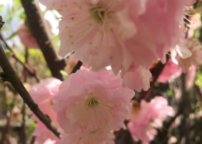 Uroczy Dom I Bezplatny Parking Mnikow