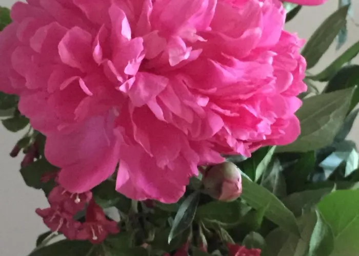 ヴィラ Uroczy Dom I Bezplatny Parking