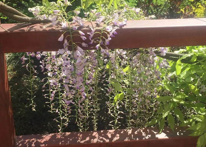 Uroczy Dom I Bezplatny Parking ヴィラ Mnikow