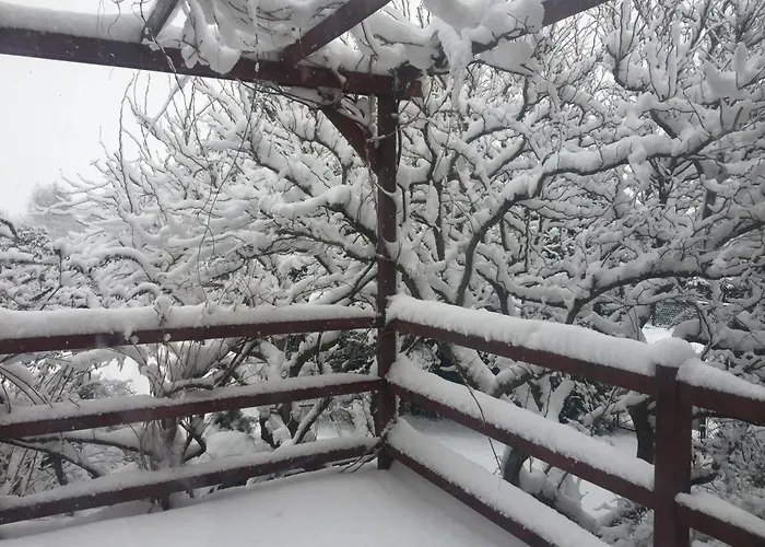 Uroczy Dom I Bezplatny Parking *