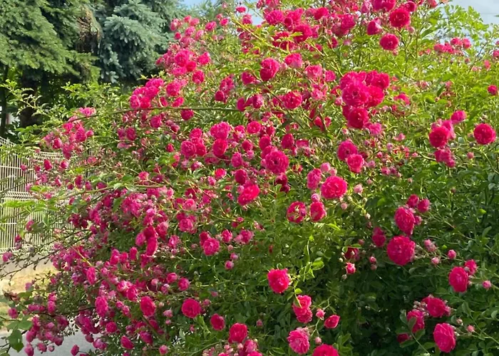 Uroczy Dom I Bezplatny Parking